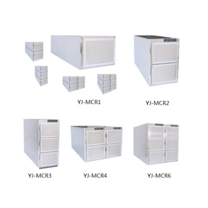 Bodies Corpse Morgue Freezer Bodies Corpse Morgue Freezer