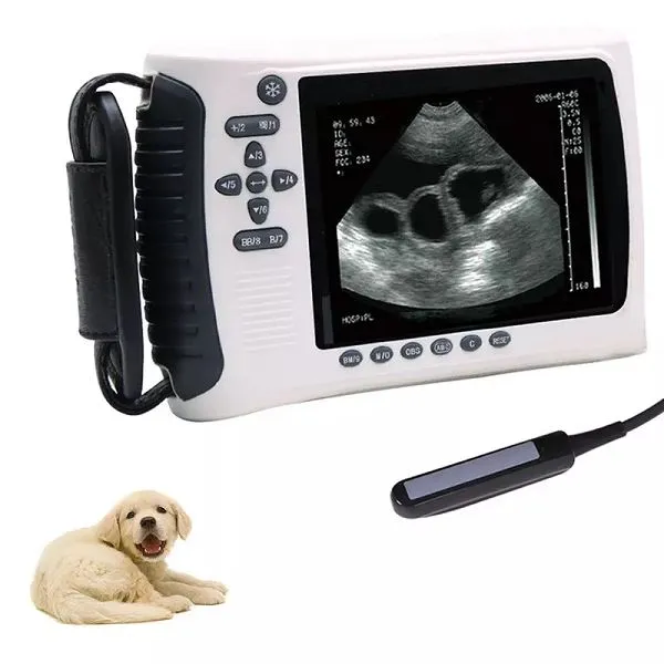 سستی فیکٹری قیمت ویٹرنری الٹراساؤنڈ مشین کلر ڈوپلر اینیمل پورٹ ایبل الٹراساؤنڈ مشین